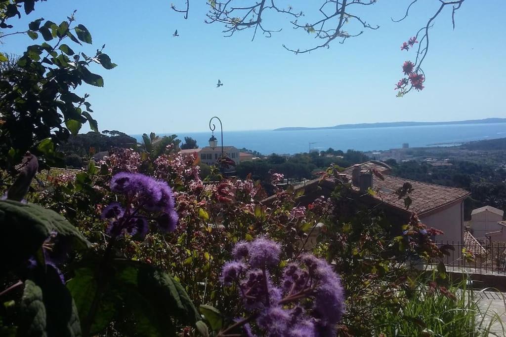 Studio 4 Pers Coeur Du Lavandou 5Mn A Pied Des Plages Le Lavandou Dış mekan fotoğraf