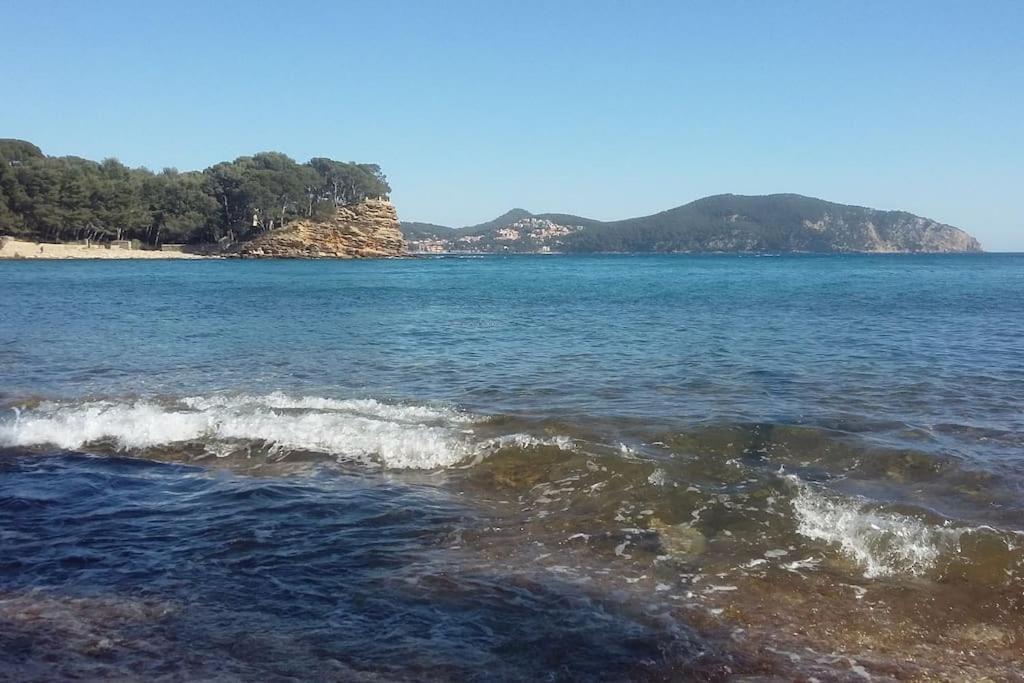 Studio 4 Pers Coeur Du Lavandou 5Mn A Pied Des Plages Le Lavandou Dış mekan fotoğraf